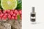 Pánský parfém Yodeyma Paris Caribbean 15 ml