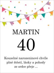 Etiketa na víno 0,75l  - přání k narozeninám NA220004