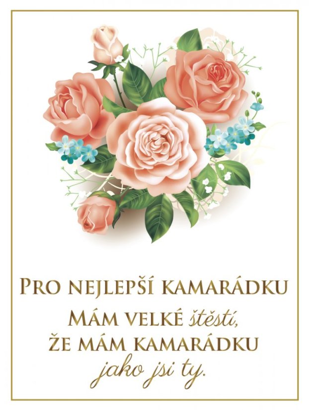 Víno pro pro nejlepší kamarádku - motiv růže 0,75L