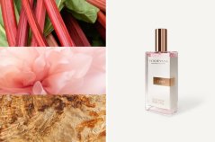 Dámský parfém Yodeyma Paris Linet 50 ml
