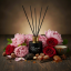 Aromatický profil vůně Dark Essence – vizuální kompozice hlubokých tónů a ingrediencí