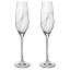 Sklenice na sekt s krystaly Preciosa 210ml - Plant 2ks