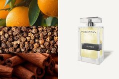 Pánský  parfém Yodeyma Paris Power 100 ml