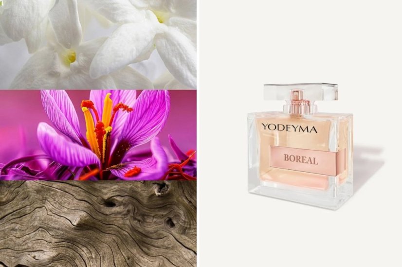 Dámský parfém Yodeyma Paris Boreal  100 ml