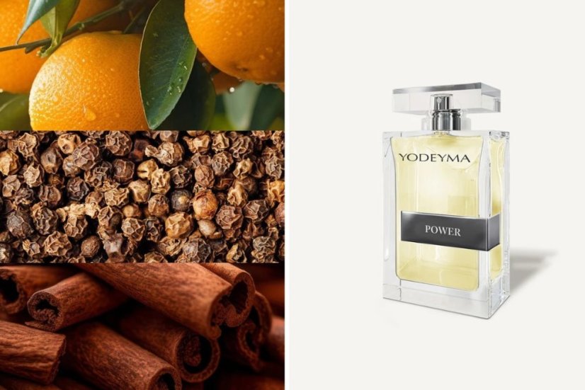 Pánský  parfém Yodeyma Paris Power 100 ml