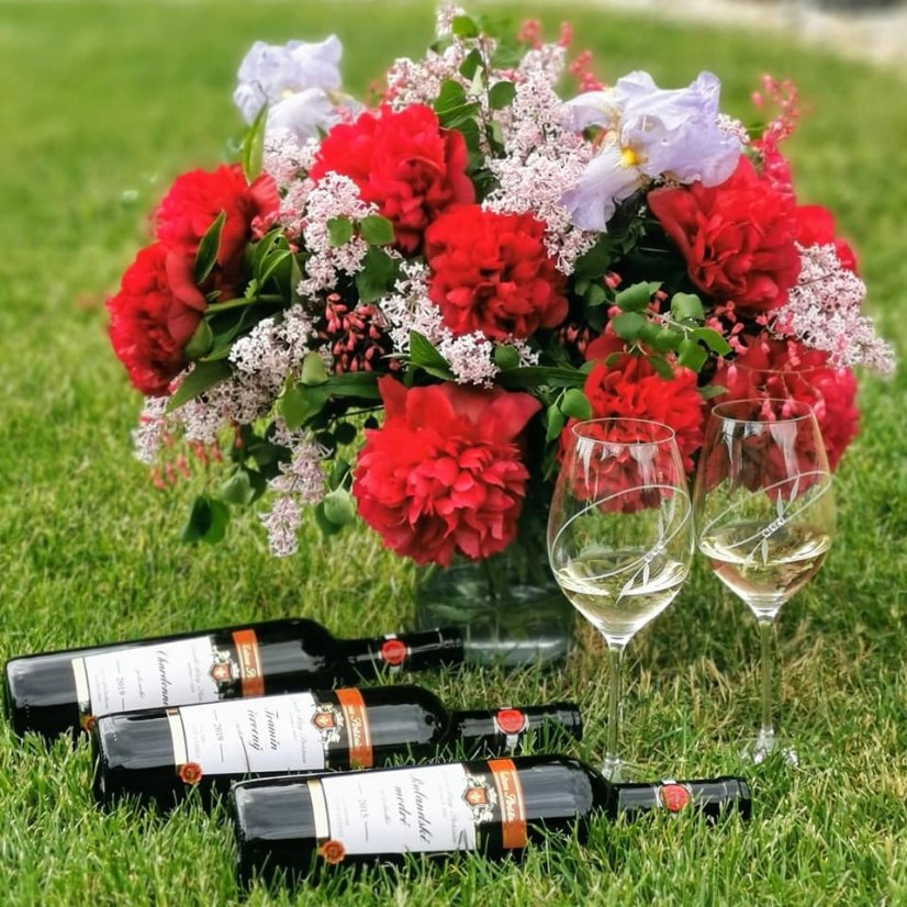 Sklenice na víno s krystaly Preciosa 360 ml - Plant 2ks