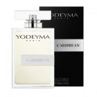 100 ml