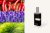 Pánský parfém Yodeyma Paris Kent 50 ml