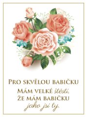 Víno pro pro skvělou babičku - motiv růže 0,75L