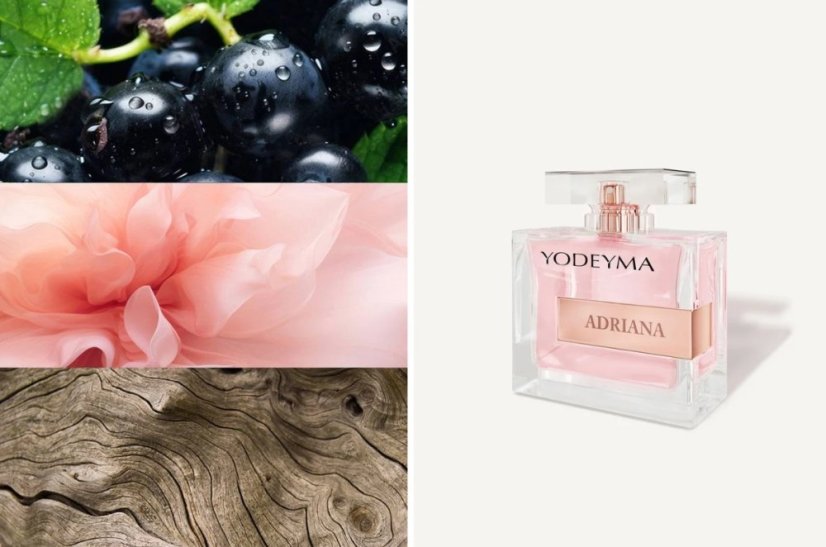 Dámský parfém Yodeyma Paris Adriana 100 ml