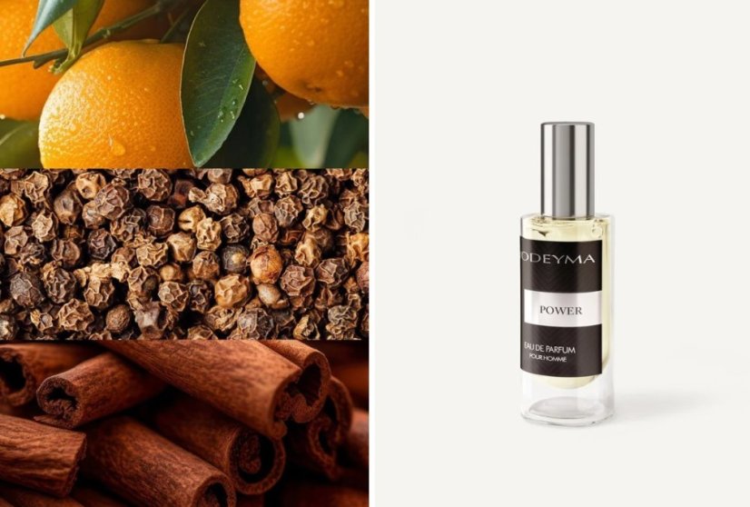 Pánský  parfém Yodeyma Paris Power 15 ml