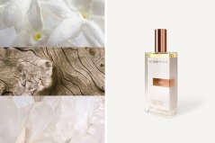 Dámský parfém Yodeyma Paris Iris 50 ml