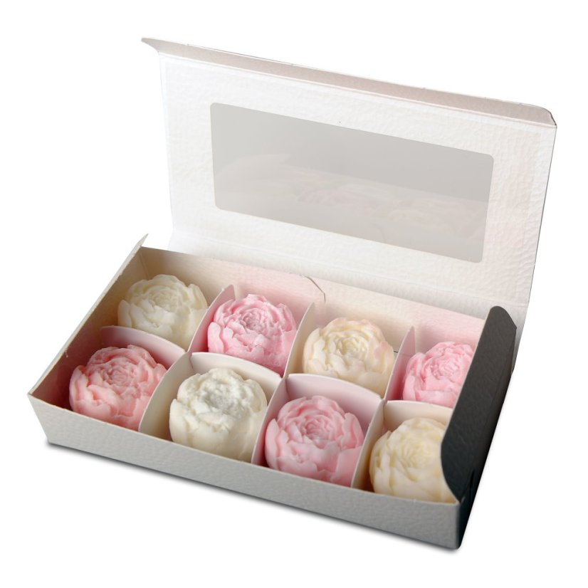 První seznámení: Poznávací set řady Selection