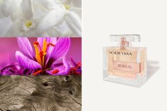 Dámský parfém Yodeyma Paris Boreal  100 ml
