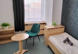 Penzion Zámecké sklepy - Jednolůžkový pokoj