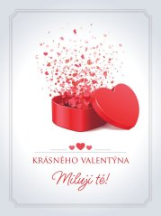 Etiketa na víno 0,75l - přání k Valentýnu - VT220001