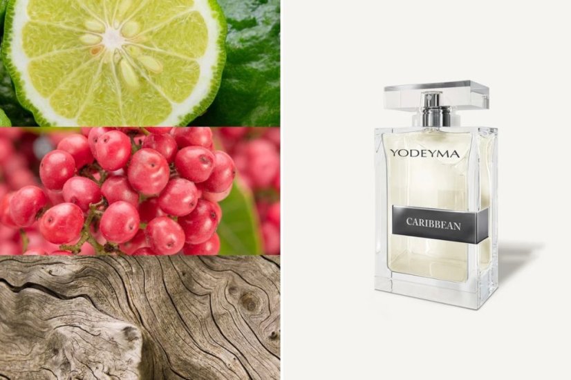 Pánský parfém Yodeyma Paris Caribbean 100 ml