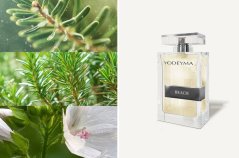 Pánský parfém Yodeyma Paris Beach 100 ml