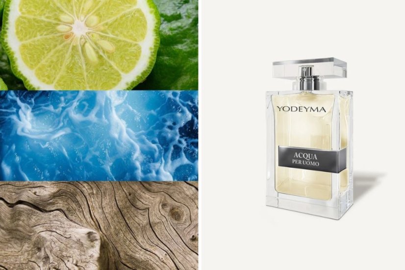 Pánský parfém Yodeyma Paris Acqua per Uomo 100 ml