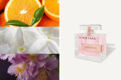 Dámský parfém Yodeyma Paris Cheante 100 ml
