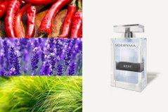 Pánský parfém Yodeyma Paris Kent 100 ml