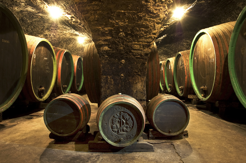 Vinařství Zámecké sklepy Strážnice