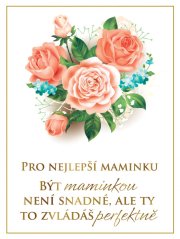 Víno pro nejlepší maminku - růže 0,75 L